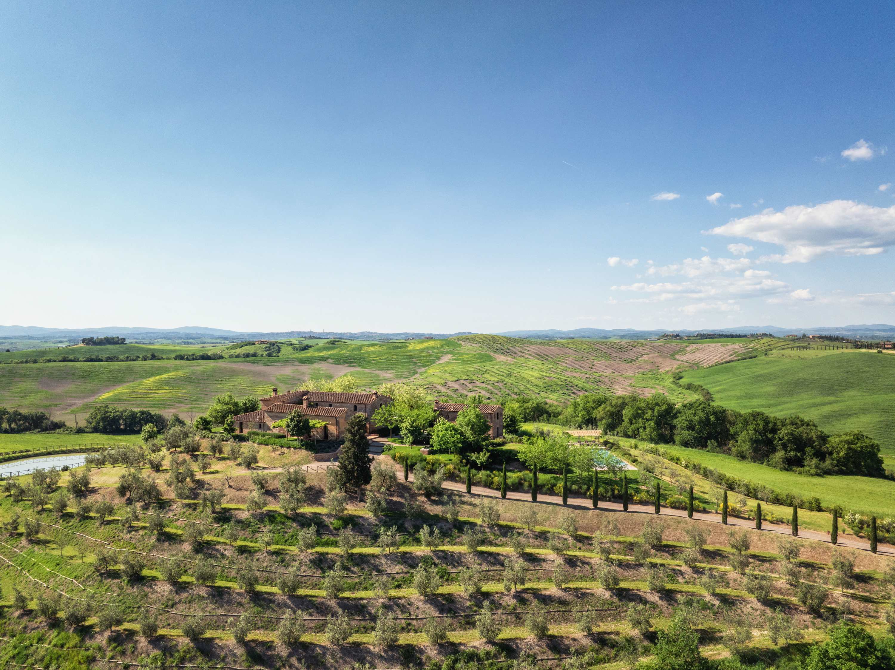 Podere Panico | Tuscany, Italy 6